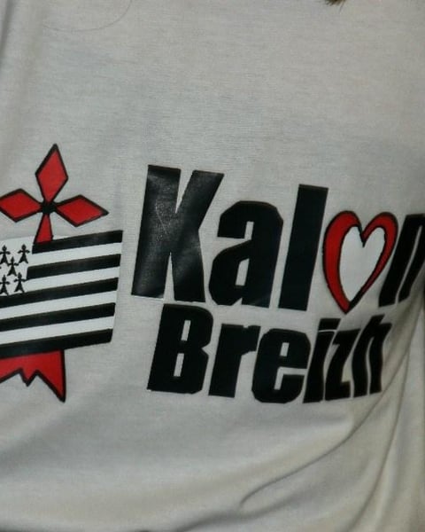 Festival Kalon Breizh 2027