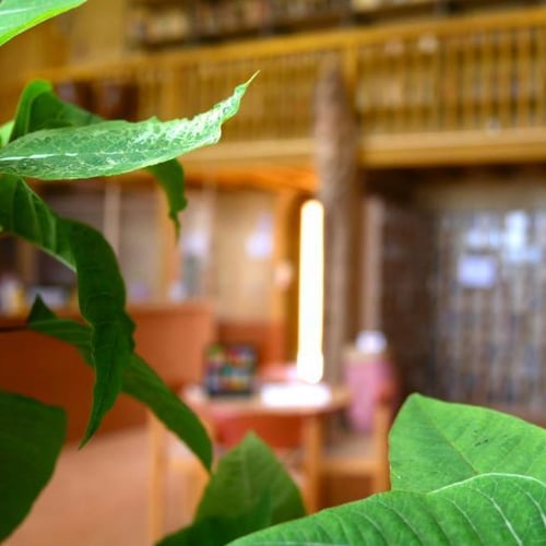 Maison des Cultures du Monde 2