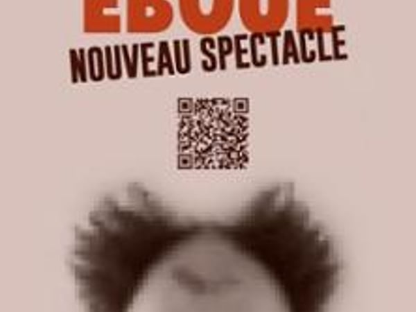 Fabrice Eboué, Nouveau Spectacle