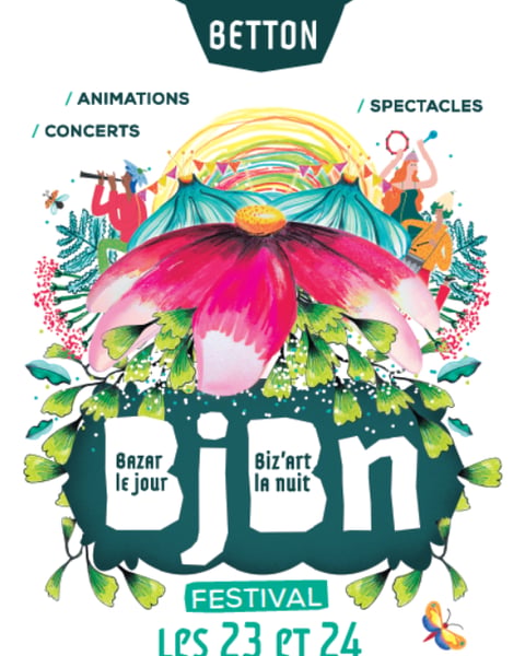 Festival Bazar le jour, Biz'art la nuit