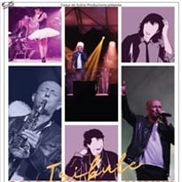 Tribute Goldman & Balavoine