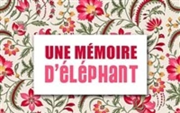 Mémoire d'éléphant dans un magasin de porcelaine
