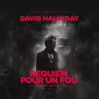 David Hallyday, Requiem pour un fou, Tournée