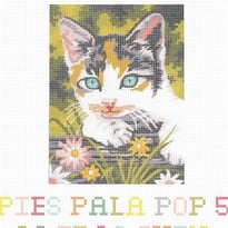 Pies Pala Pop
