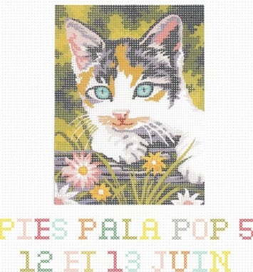 Pies Pala Pop