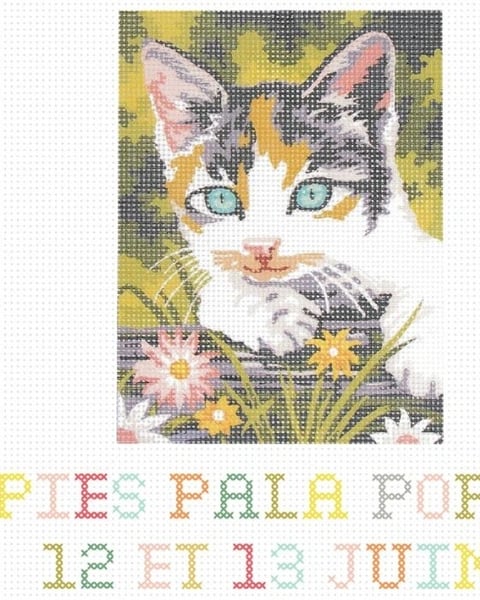 Pies Pala Pop