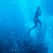 La Mer Jamais Ne s'Oublie