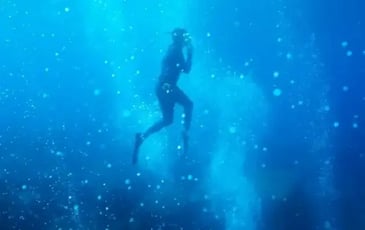 La Mer Jamais Ne s'Oublie
