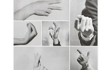 #Exporama – Bruno Munari