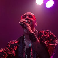 Yann Solo