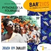 Pythons de la fournaise