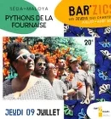 Pythons de la fournaise