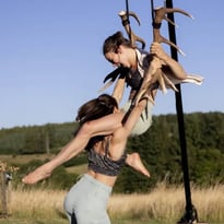 Faune
