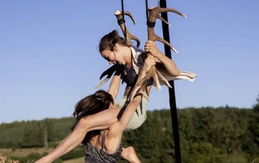 Faune