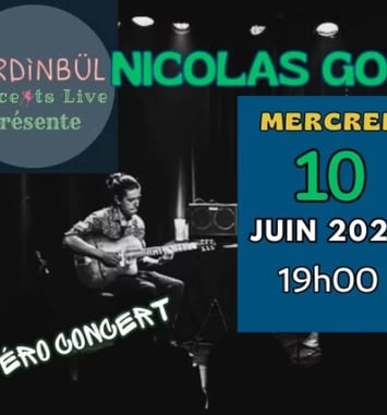 Nicolas Gourlay Duo - jazz manouche au Jardinbül