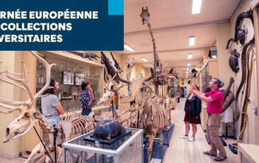Journée européenne des collections universitaires