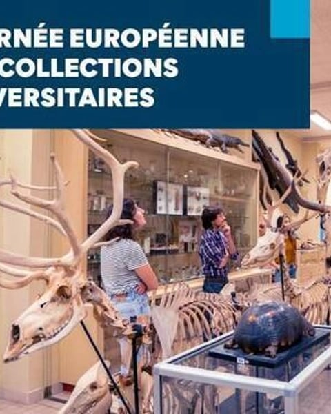 Journée européenne des collections universitaires