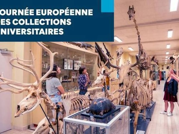 Journée européenne des collections universitaires