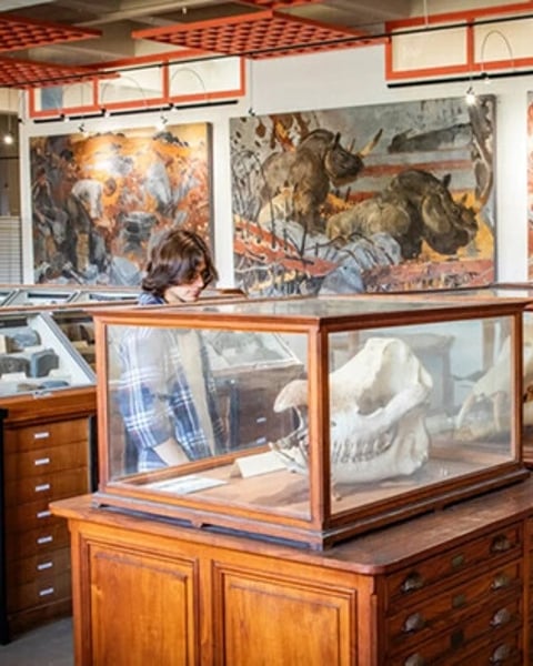 Visite des collections universitaires