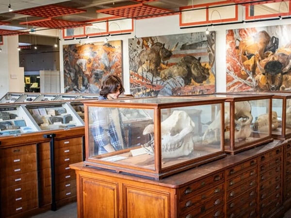 Visite des collections universitaires