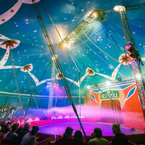 Cirque Métropole Fééries