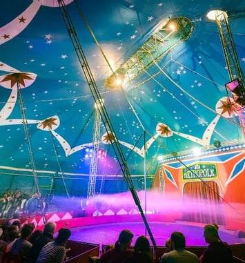Cirque Métropole Fééries