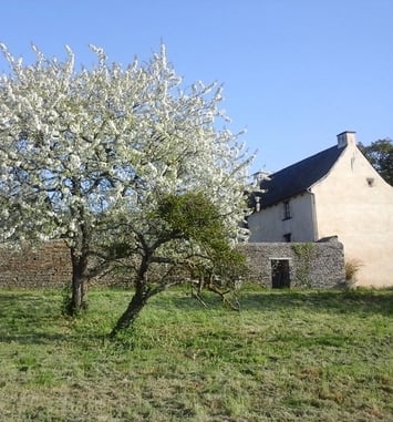 Visite guidée d'un manoir du XVe siècle