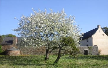 Visite guidée d'un manoir du XVe siècle