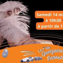 Le Mini et Dancing à Coquille