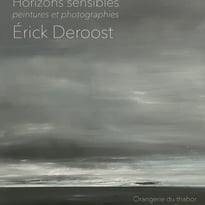 Horizons sensibles