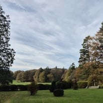 Visite guidée du parc du Bois Cornillé