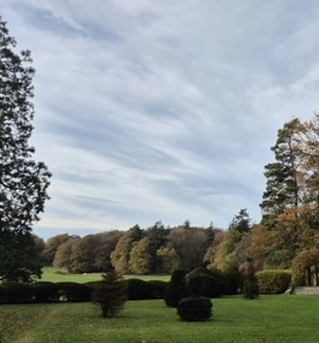Visite guidée du parc du Bois Cornillé