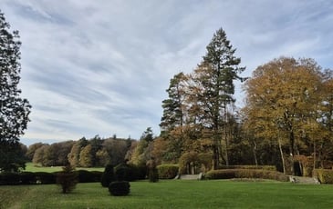 Visite guidée du parc du Bois Cornillé