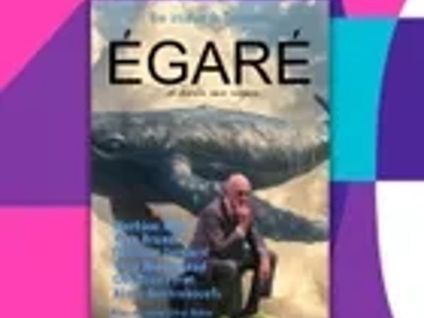 Egaré et Merde aux Sapins