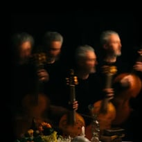 Grey Consort