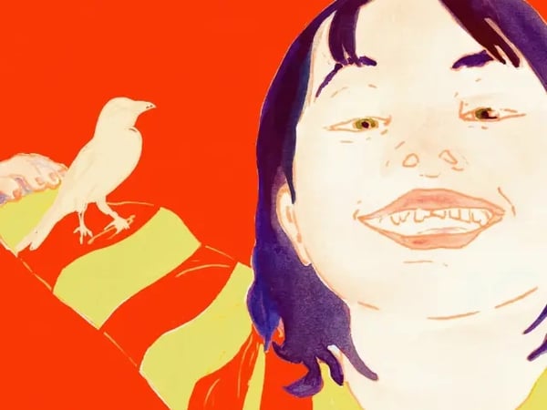 Oiseau, Guide de Survie