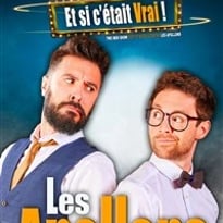Les Apollons dans Et si c'était vrai !