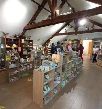 Exposition du fond pédagogique de Georges Chauvin