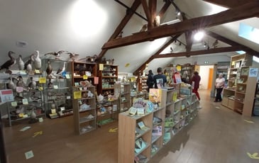 Exposition du fond pédagogique de Georges Chauvin