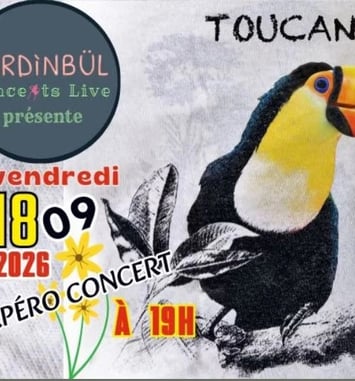 TOUCAN TOCO - Bossa Nova & chansons latinos