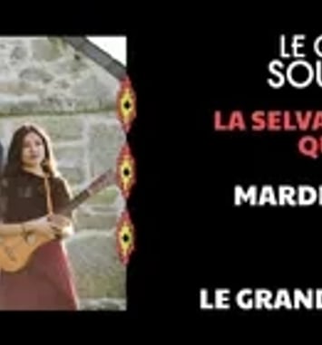 Concert gratuit : La Selva Canta Quartet