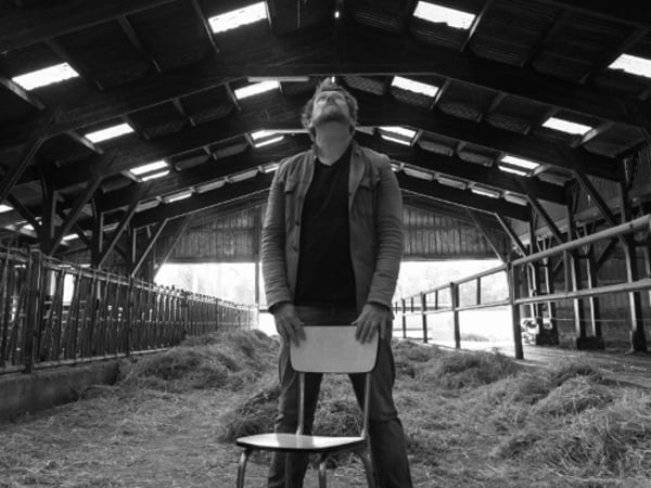 Mon père avait 3 vaches