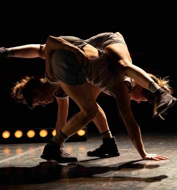 La Nuit du Cirque