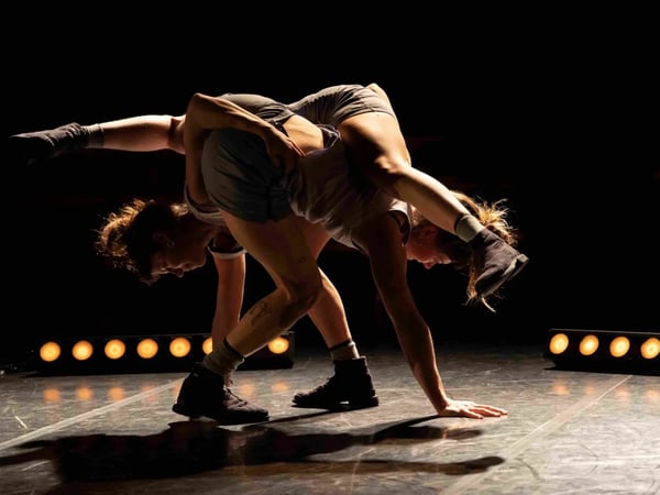 La Nuit du Cirque
