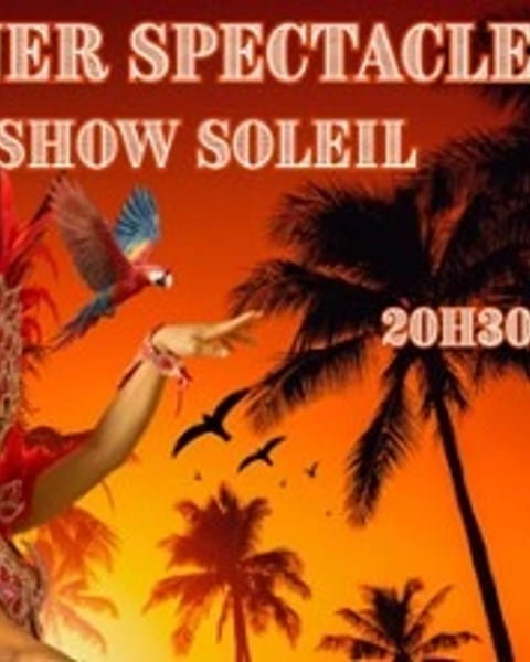 Show Soleil, Dîner spectacle