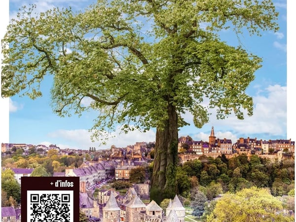 L'Arbre en ville : exposition et animations