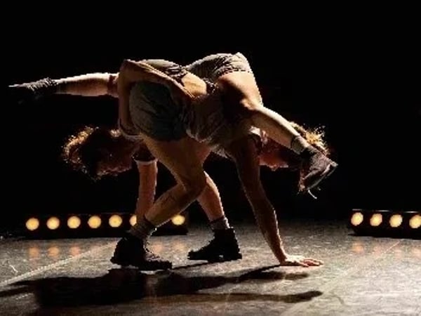 La Boule et Le Stabile, nuit du cirque