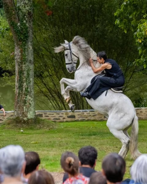 Le Rendez-Fou !